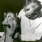 Juan Montilla