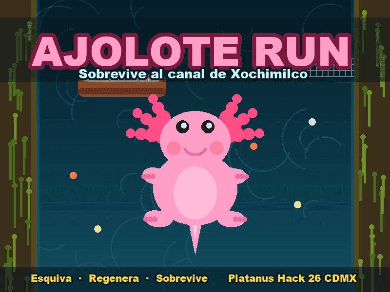 Ajolote Run