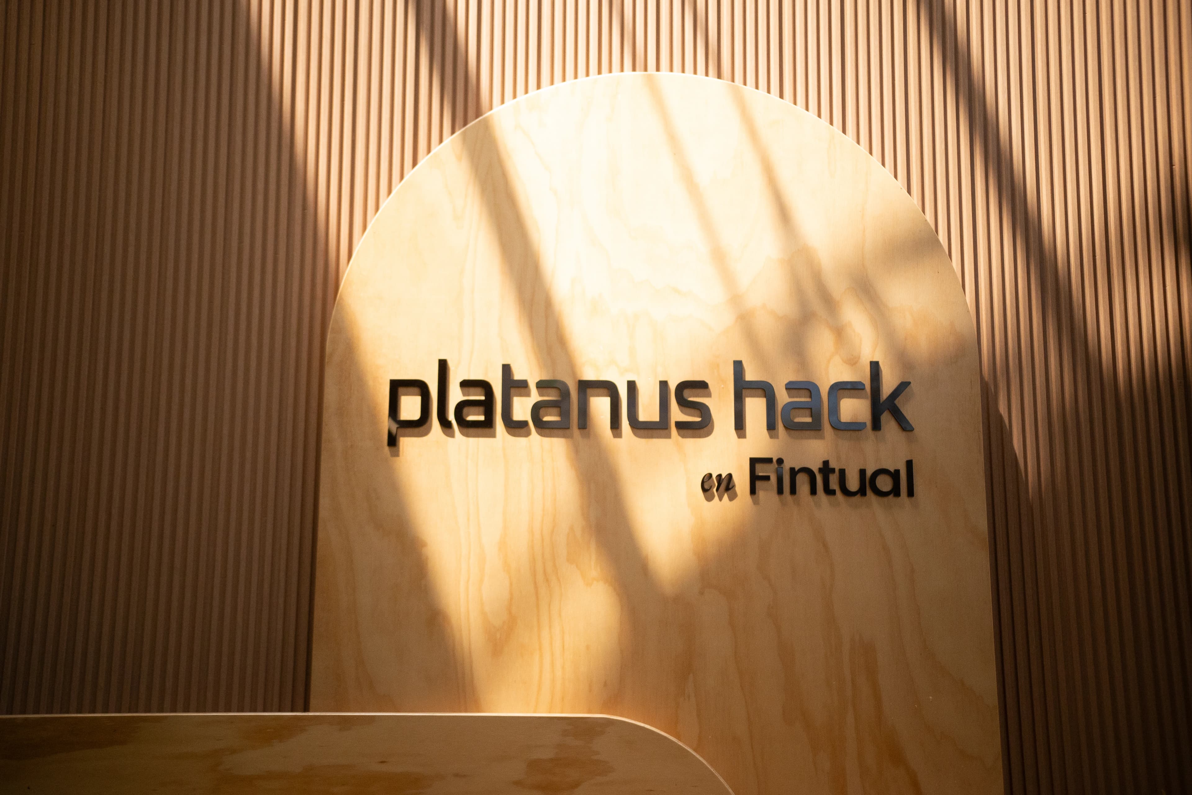 Platanus Hack photo